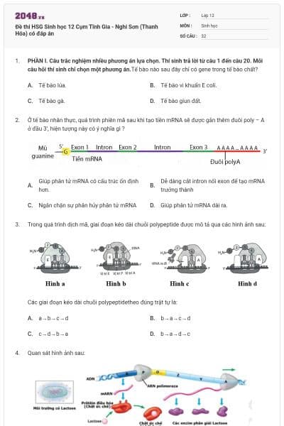 Đề thi HSG Sinh học 12 Cụm Tĩnh Gia - Nghi Sơn (Thanh Hóa) có đáp án