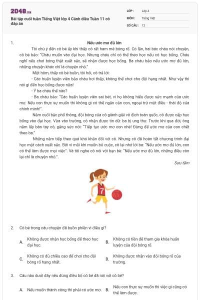 Bài tập cuối tuần Tiếng Việt lớp 4 Cánh diều Tuần 11 có đáp án