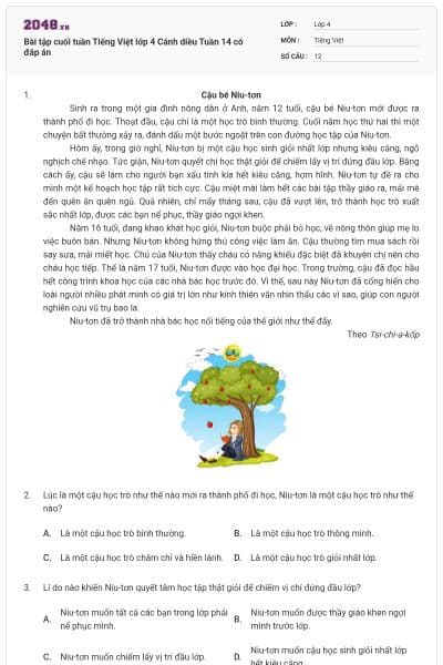 Bài tập cuối tuần Tiếng Việt lớp 4 Cánh diều Tuần 14 có đáp án