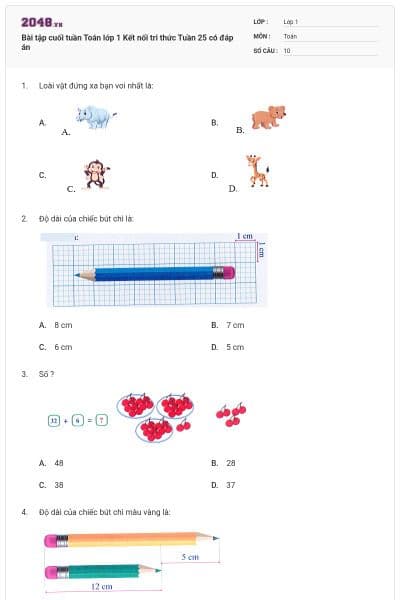 Bài tập cuối tuần Toán lớp 1 Kết nối tri thức Tuần 25 có đáp án