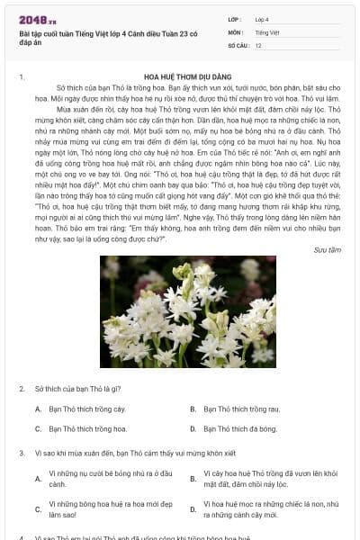 Bài tập cuối tuần Tiếng Việt lớp 4 Cánh diều Tuần 23 có đáp án