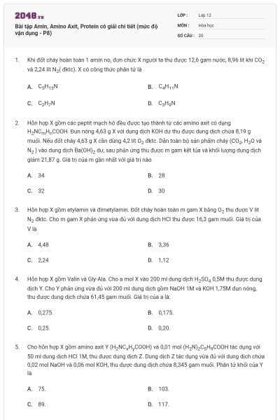 Bài tập Amin, Amino Axit, Protein có giải chi tiết (mức độ vận dụng - P8)