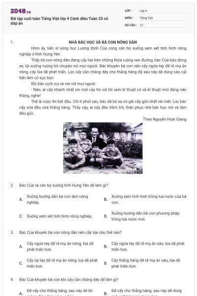 Bài tập cuối tuần Tiếng Việt lớp 4 Cánh diều Tuần 33 có đáp án