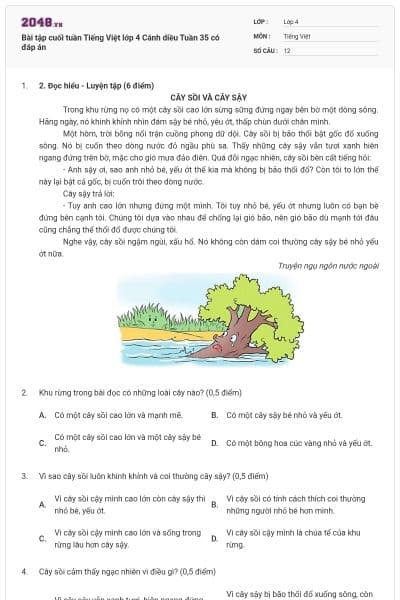 Bài tập cuối tuần Tiếng Việt lớp 4 Cánh diều Tuần 35 có đáp án