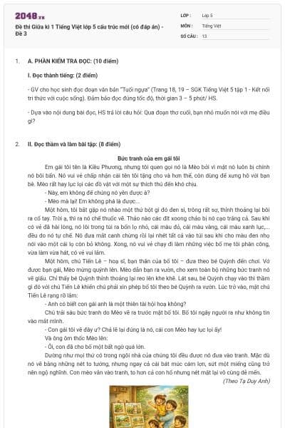 Đề thi Giữa kì 1 Tiếng Việt lớp 5 cấu trúc mới (có đáp án) - Đề 3