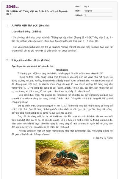 Đề thi Giữa kì 1 Tiếng Việt lớp 5 cấu trúc mới (có đáp án) - Đề 5