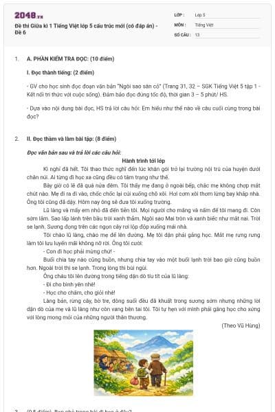 Đề thi Giữa kì 1 Tiếng Việt lớp 5 cấu trúc mới (có đáp án) - Đề 6