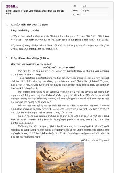 Đề thi Cuối kì 1 Tiếng Việt lớp 5 cấu trúc mới (có đáp án) - Đề 5