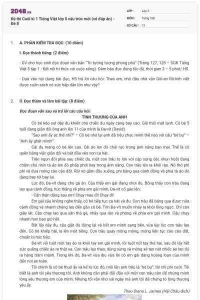 Đề thi Cuối kì 1 Tiếng Việt lớp 5 cấu trúc mới (có đáp án) - Đề 8