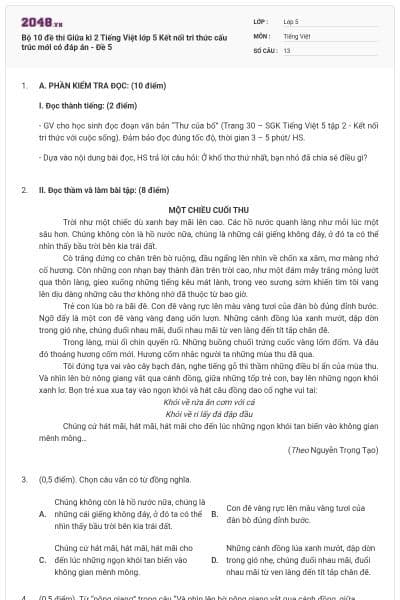 Bộ 10 đề thi Giữa kì 2 Tiếng Việt lớp 5 Kết nối tri thức cấu trúc mới có đáp án - Đề 5