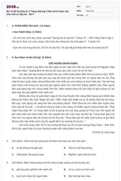Bộ 10 đề thi Giữa kì 2 Tiếng Việt lớp 5 Kết nối tri thức cấu trúc mới có đáp án - Đề 9