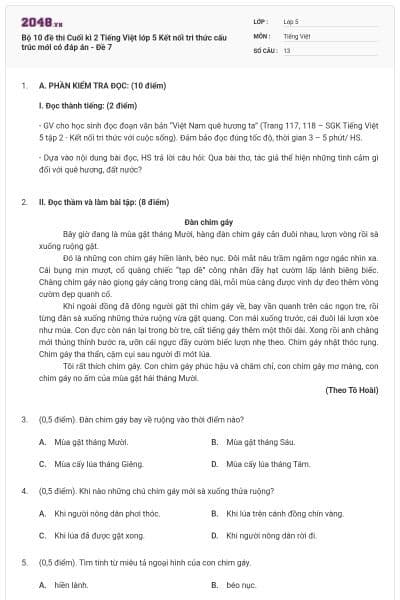 Bộ 10 đề thi Cuối kì 2 Tiếng Việt lớp 5 Kết nối tri thức cấu trúc mới có đáp án - Đề 7
