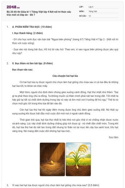 Bộ 20 đề thi Giữa kì 1 Tiếng Việt lớp 4 Kết nối tri thức cấu trúc mới có đáp án - Đề 7