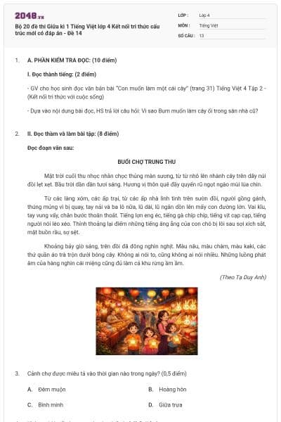 Bộ 20 đề thi Giữa kì 1 Tiếng Việt lớp 4 Kết nối tri thức cấu trúc mới có đáp án - Đề 14