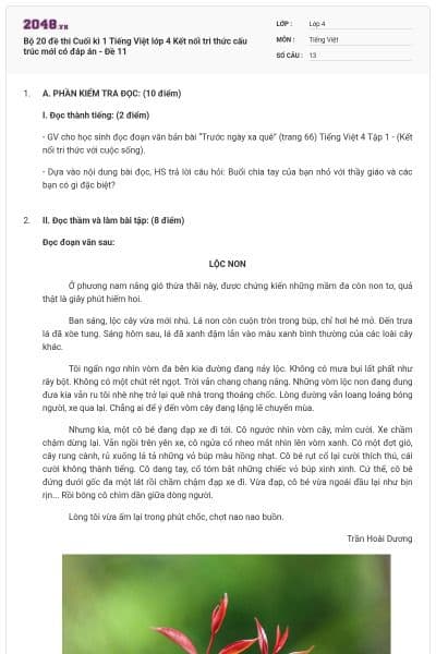 Bộ 20 đề thi Cuối kì 1 Tiếng Việt lớp 4 Kết nối tri thức cấu trúc mới có đáp án - Đề 11