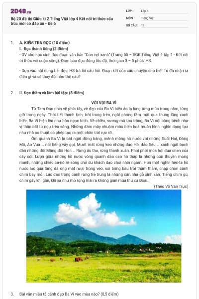 Bộ 20 đề thi Giữa kì 2 Tiếng Việt lớp 4 Kết nối tri thức cấu trúc mới có đáp án - Đề 6