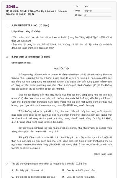 Bộ 20 đề thi Giữa kì 2 Tiếng Việt lớp 4 Kết nối tri thức cấu trúc mới có đáp án - Đề 12