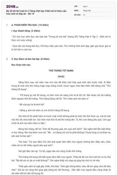 Bộ 20 đề thi Cuối kì 2 Tiếng Việt lớp 4 Kết nối tri thức cấu trúc mới có đáp án - Đề 14