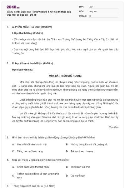 Bộ 20 đề thi Cuối kì 2 Tiếng Việt lớp 4 Kết nối tri thức cấu trúc mới có đáp án - Đề 16