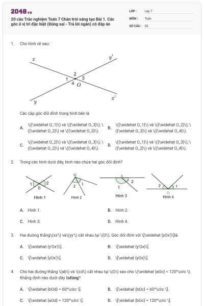 20 câu Trắc nghiệm Toán 7 Chân trời sáng tạo Bài 1. Các góc ở vị trí đặc biệt (Đúng sai - Trả lời ngắn) có đáp án