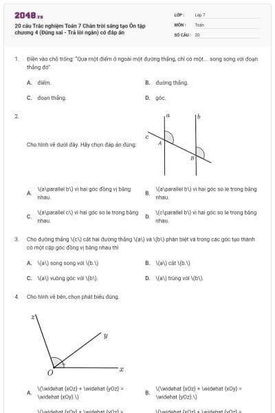 20 câu Trắc nghiệm Toán 7 Chân trời sáng tạo Ôn tập chương 4 (Đúng sai - Trả lời ngắn) có đáp án