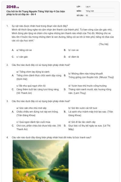 Câu hỏi ôn thi Trạng Nguyên Tiếng Việt lớp 4 Các biện pháp tu từ có đáp án - Đề 4