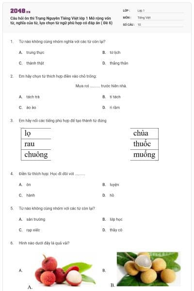 Câu hỏi ôn thi Trạng Nguyên Tiếng Việt lớp 1 Mở rộng vốn từ, nghĩa của từ, lựa chọn từ ngữ phù hợp có đáp án ( Đề 6)