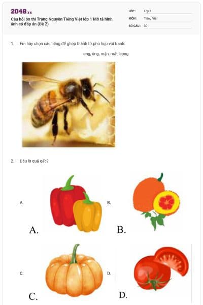 Câu hỏi ôn thi Trạng Nguyên Tiếng Việt lớp 1 Mô tả hình ảnh có đáp án (Đề 2)