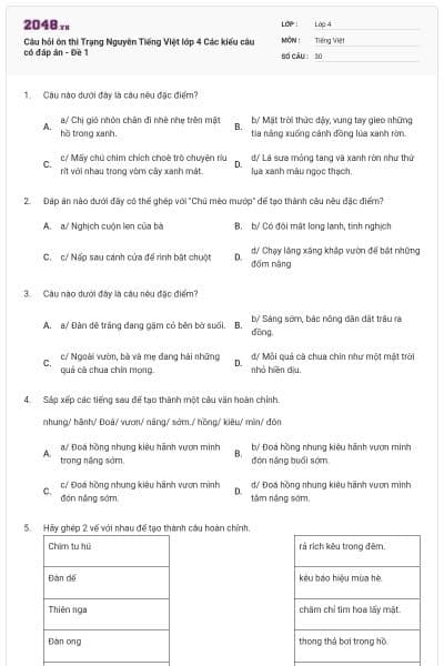 Câu hỏi ôn thi Trạng Nguyên Tiếng Việt lớp 4 Các kiểu câu có đáp án - Đề 1
