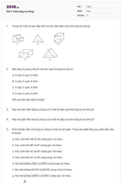 Bài 4: Hình lăng trụ đứng