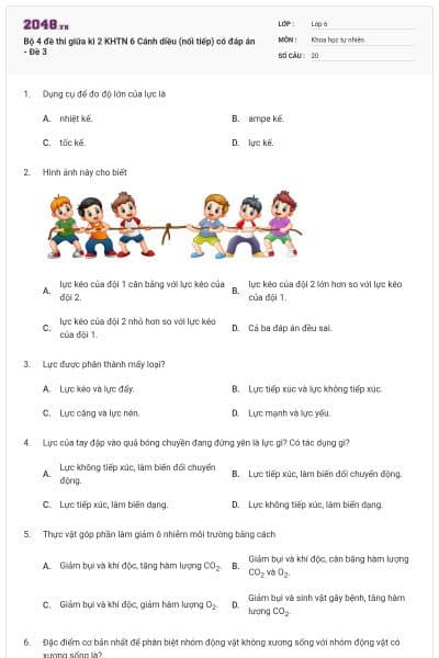 Bộ 4 đề thi giữa kì 2 KHTN 6 Cánh diều (nối tiếp) có đáp án - Đề 3