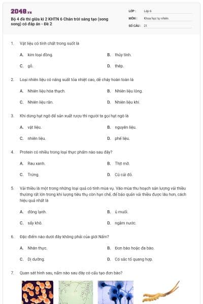Bộ 4 đề thi giữa kì 2 KHTN 6 Chân trời sáng tạo (song song) có đáp án - Đề 2