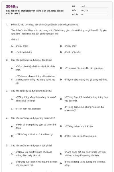 Câu hỏi ôn thi Trạng Nguyên Tiếng Việt lớp 3 Dấu câu có đáp án - Đề 2