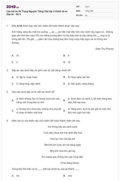 Câu hỏi ôn thi Trạng Nguyên Tiếng Việt lớp 3 Chính tả có đáp án - Đề 6