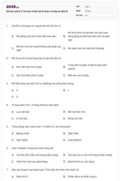 Đề thi cuối kì 2 Tin học 6 Kết nối trí thức có đáp án (Đề 8)