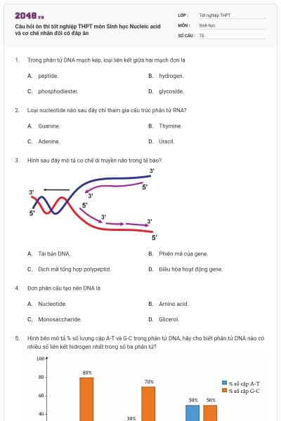 Câu hỏi ôn thi tốt nghiệp THPT môn Sinh học Nucleic acid và cơ chế nhân đôi có đáp án