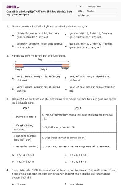 Câu hỏi ôn thi tốt nghiệp THPT môn Sinh học Điều hòa biểu hiện gene có đáp án