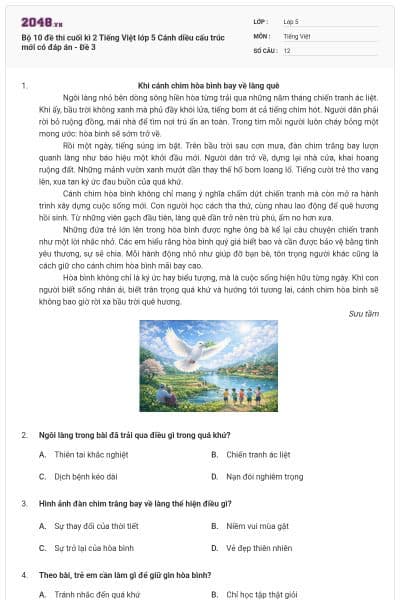 Bộ 10 đề thi cuối kì 2 Tiếng Việt lớp 5 Cánh diều cấu trúc mới có đáp án - Đề 3