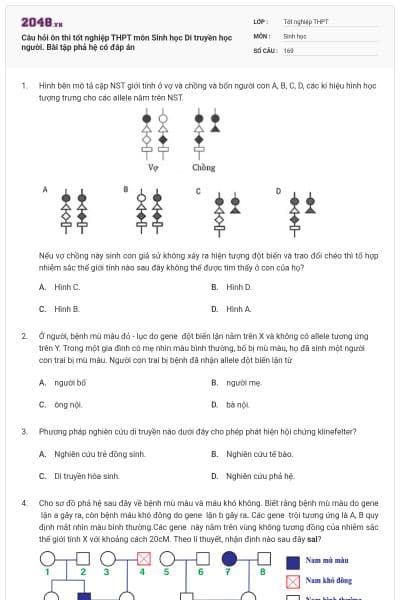 Câu hỏi ôn thi tốt nghiệp THPT môn Sinh học Di truyền học người. Bài tập phả hệ có đáp án