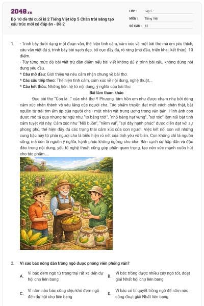 Bộ 10 đề thi cuối kì 2 Tiếng Việt lớp 5 Chân trời sáng tạo cấu trúc mới có đáp án - Đề 2