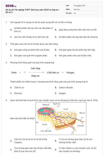 Đề ôn thi Tốt nghiệp THPT Sinh học năm 2025 có đáp án - Đề số 3