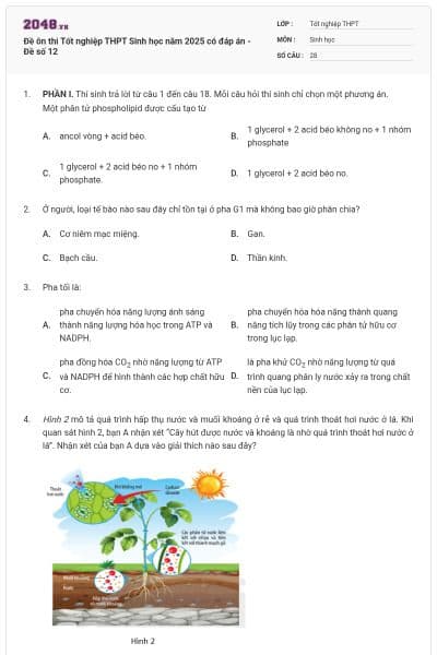 Đề ôn thi Tốt nghiệp THPT Sinh học năm 2025 có đáp án - Đề số 12