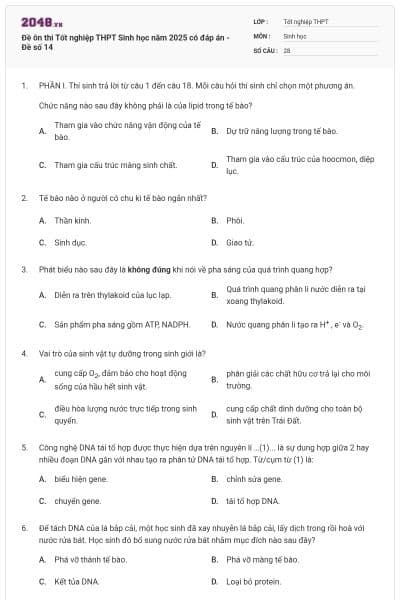Đề ôn thi Tốt nghiệp THPT Sinh học năm 2025 có đáp án - Đề số 14