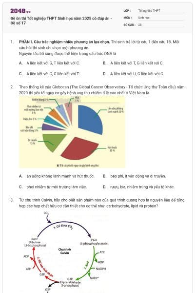 Đề ôn thi Tốt nghiệp THPT Sinh học năm 2025 có đáp án - Đề số 17
