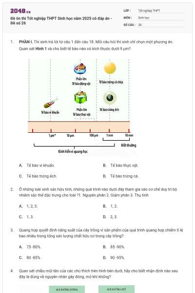 Đề ôn thi Tốt nghiệp THPT Sinh học năm 2025 có đáp án - Đề số 26