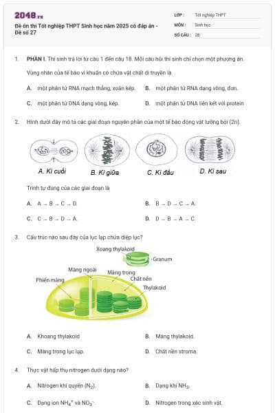 Đề ôn thi Tốt nghiệp THPT Sinh học năm 2025 có đáp án - Đề số 27