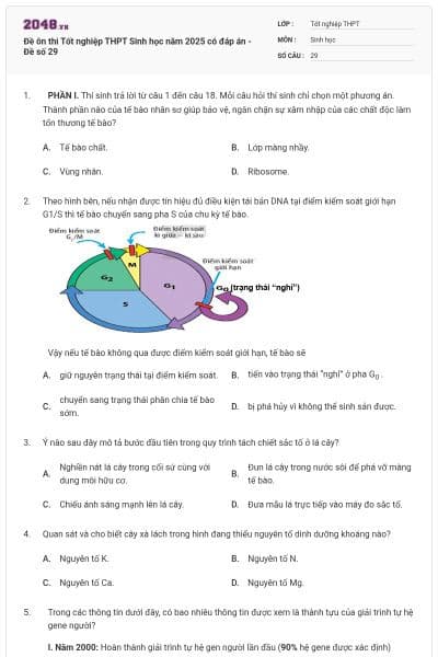 Đề ôn thi Tốt nghiệp THPT Sinh học năm 2025 có đáp án - Đề số 29