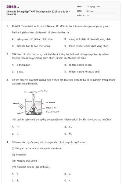 Đề ôn thi Tốt nghiệp THPT Sinh học năm 2025 có đáp án - Đề số 31
