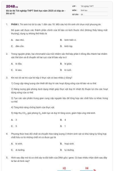 Đề ôn thi Tốt nghiệp THPT Sinh học năm 2025 có đáp án - Đề số 41