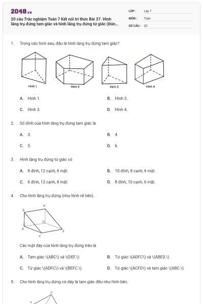 20 câu Trắc nghiệm Toán 7 Kết nối tri thức Bài 37. Hình lăng trụ đứng tam giác và hình lăng trụ đứng tứ giác (Đúng sai - Trả lời ngắn) có đáp án